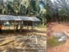 Sedih Kebun Bekri Dijarah, Serikat Pekerja PTPN VII: Tolong Selamatkan Sumber Nafkah Kami
